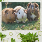 Drei Guinea von Säuglingen, Geschirrtuch (Gefaltet)