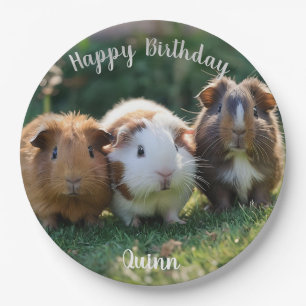Drei Guinea von Säuglingen, Pappteller