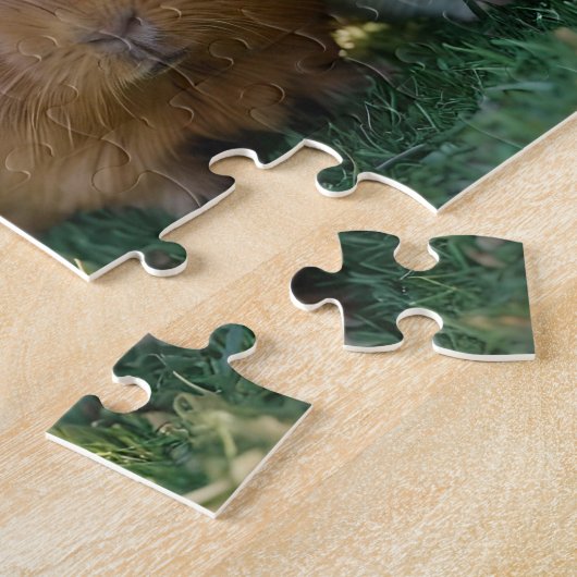 Drei Guinea von Säuglingen, Puzzle (Seite)