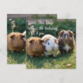 Drei Guinea von Säuglingen, Save The Date (Vorne/Hinten)
