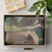 Drei Guinea von Säuglingen, Seidenpapier (Geschenk)