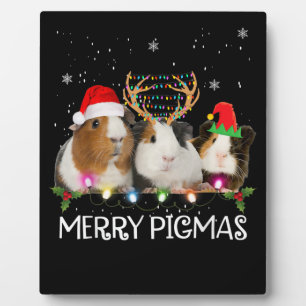 Drei Guinea Weihnachtslicht Weihnachten Weihnachts Fotoplatte