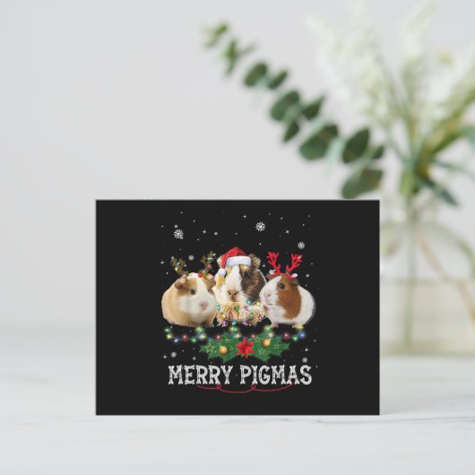 Drei Guinea Weihnachtslicht Weihnachtsmannmütze Postkarte (Stehend Vorderseite)