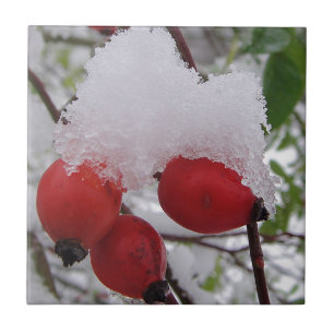 Drei Hagebutten mit Schnee Fliese