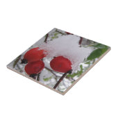 Drei Hagebutten mit Schnee Fliese (Seite)