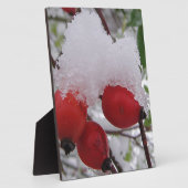 Drei Hagebutten mit Schnee Fotoplatte (Seite)