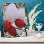 Drei Hagebutten mit Schnee Fotoplatte (Seite)