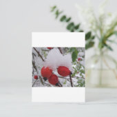 Drei Hagebutten mit Schnee Postkarte (Stehend Vorderseite)