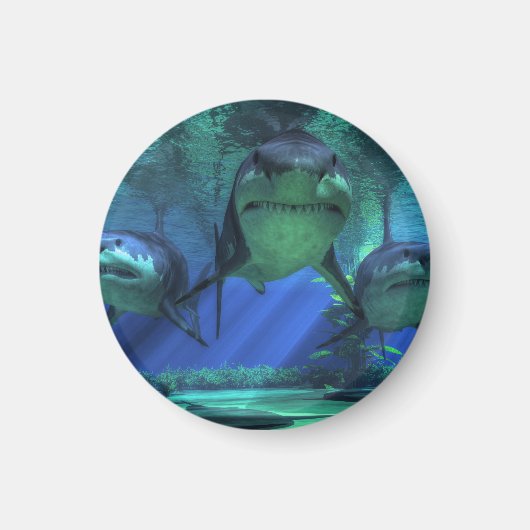 Drei Haie Magnet (Vorne)