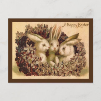 Drei Hasen Vintage-Ostergrußpostkarte Postkarte