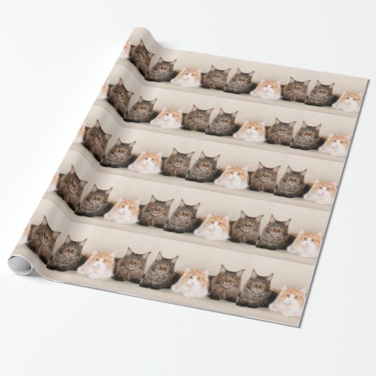 Drei Hauptcoon-Katzen Geschenkpapier (Ungerollt)