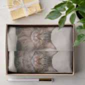 Drei Hauptcoon-Katzen Seidenpapier (Geschenk)