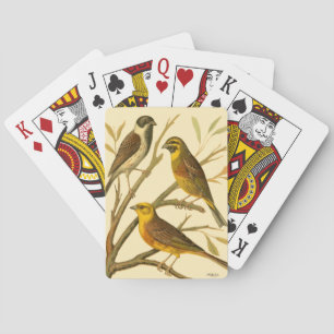 Drei Hausvögel sitzen auf einem Ast Spielkarten
