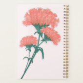 Drei hellrosa Nelken mit Namen Planer (Rückseite)