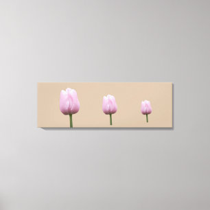 Drei hohe Tulpen Leinwanddruck