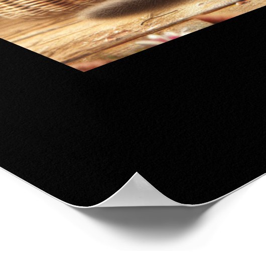 Drei hübsche Tabbykätzchen mit Blume Poster (Ecke)