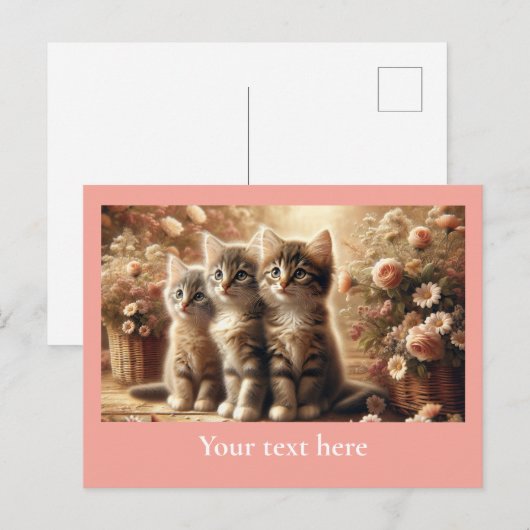 Drei hübsche Tabbykätzchen mit Blume Postkarte (Vorne/Hinten)
