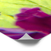 Drei hübsche Veilchen Foto Poster (Ecke)