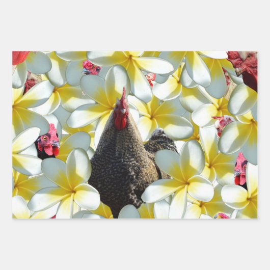 Drei Hühnergestelle, Geschenkartikel, entzückende Geschenkpapier Set (Vorderseite 3)