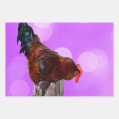 Drei Hühnergestelle, Geschenkartikel, entzückende Geschenkpapier Set (Vorderseite 2)