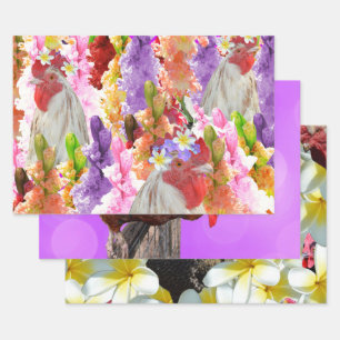 Drei Hühnergestelle, Geschenkartikel, entzückende  Geschenkpapier Set