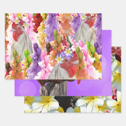 Drei Hühnergestelle, Geschenkartikel, entzückende Geschenkpapier Set (Set)