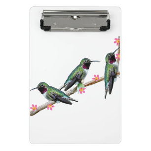 Drei Hummingvögel auf einem Ast Floss Silt Mini Klemmbrett