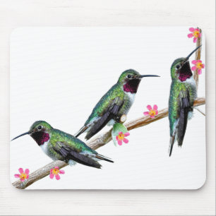 Drei Hummingvögel auf einem Ast Floss Silt Mousepad