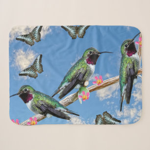 Drei Hummingvögel auf einem Ast Floss Silt Sherpadecke