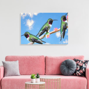 Drei Hummingvögel auf einem Zweig eines Feuers Leinwanddruck