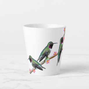 Drei Hummingvögel auf einem Zweig eines Feuers Milchtasse