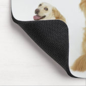 Drei Hunde mit Kamera Mousepad (Ecke)