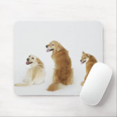 Drei Hunde mit Kamera Mousepad (Mit Mouse)