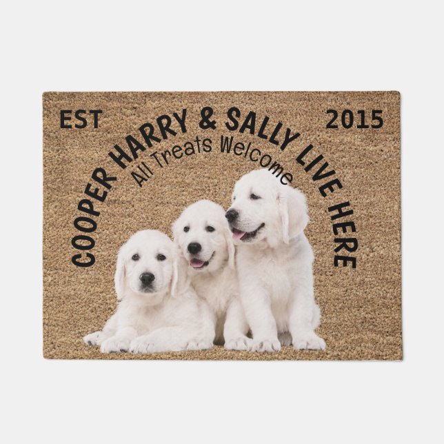 Drei Hunde Personalisierter Hund Fußmatte (Vorderseite)