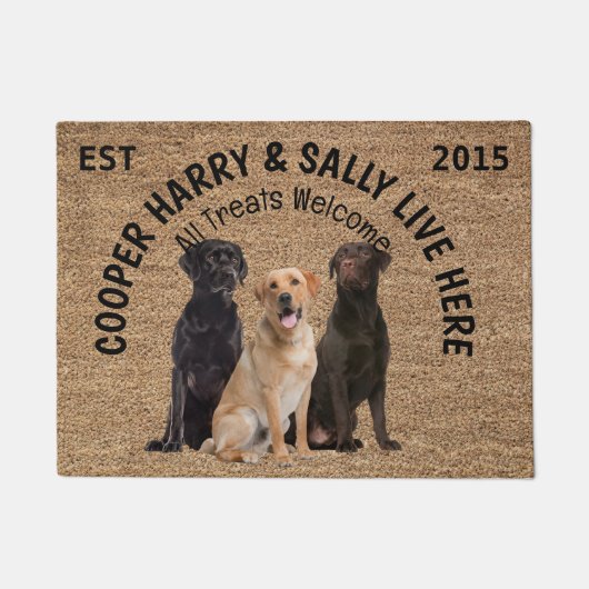 Drei Hunde Personalisierter Hund Fußmatte (Vorderseite)