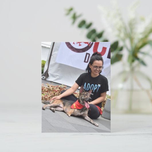 Drei Hunde Postkarte (Stehend Vorderseite)