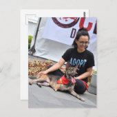 Drei Hunde Postkarte (Vorne/Hinten)