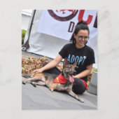 Drei Hunde Postkarte (Vorderseite)