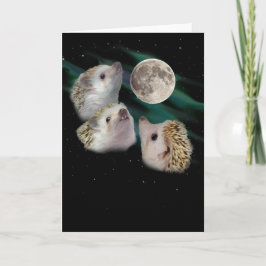 Drei-Igel-Mond-Grußkarte Karte
