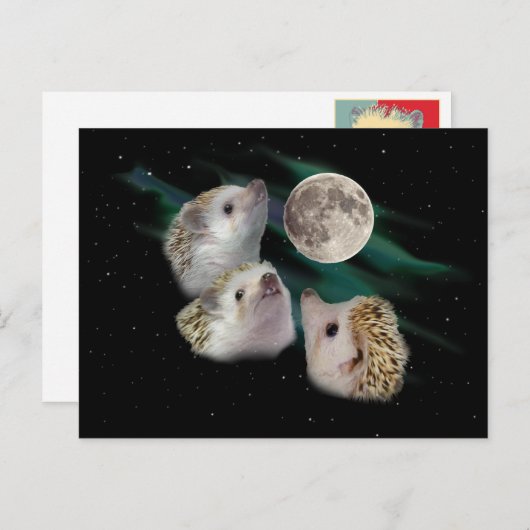 Drei Igel Moon Postkarte (Vorne/Hinten)