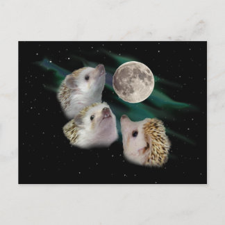 Drei Igel Moon Postkarte