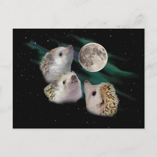 Drei Igel Moon Postkarte (Vorderseite)