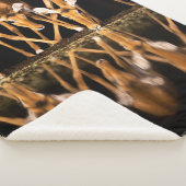 Drei Impalas trinken nachts zusammen Sherpadecke (3/4)