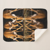 Drei Impalas trinken nachts zusammen Sherpadecke (Vorderseite (Horizontal))