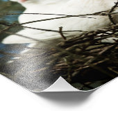 Drei in einem Baum Fotodruck (Ecke)