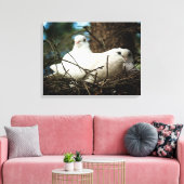 Drei in einem Baum Leinwanddruck (Insitu (Wohnzimmer))