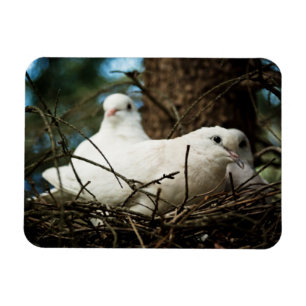 Drei in einem Baum Magnet