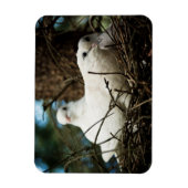 Drei in einem Baum Magnet (Vertikal)