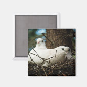 Drei in einem Baum Magnet (Vorderseite/Rückseite)