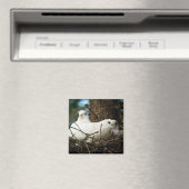 Drei in einem Baum Magnet (In Situ (Geschirrspüler))